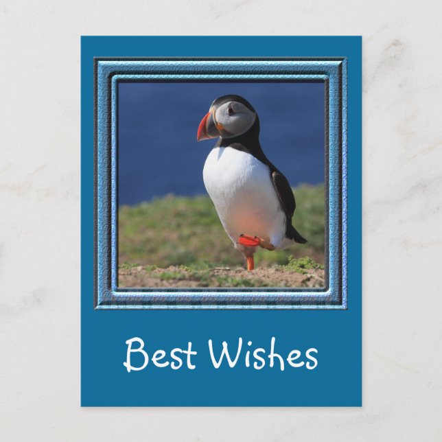 Postal Skomer Island Puffins (Anverso)