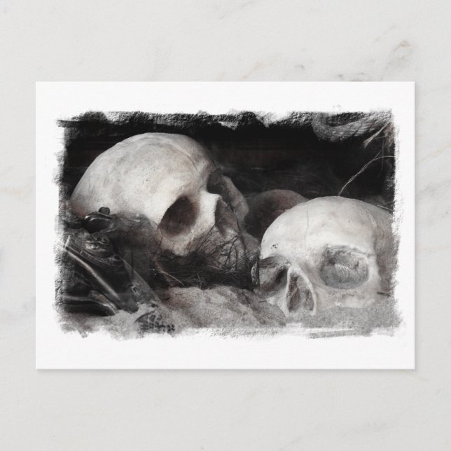 Postal Skull Buddies (Anverso)