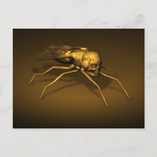 Postal Skull Insect (Anverso)