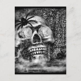 Postal Skull-Spider y Rosa-2012