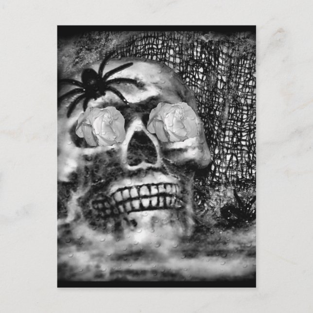Postal Skull-Spider y Rosa-2012 (Anverso)