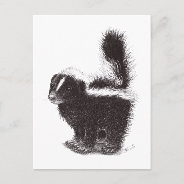 Postal Skunk feliz (Anverso)