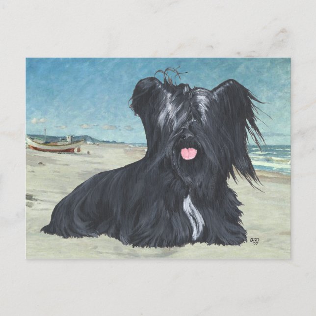Postal Skye Terrier en la playa (Anverso)