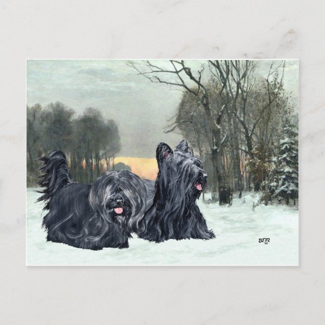Postal Skye Terriers Snowy Sunset (Anverso)