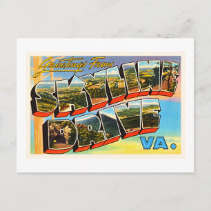 Postal Skyline Drive Virginia VA Vintage Travel Postcard-