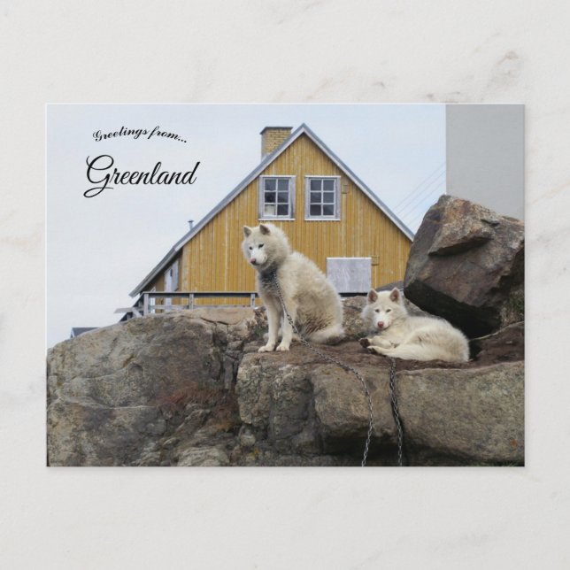 Postal Sled Dogs in Upernavik Greenland (Anverso)