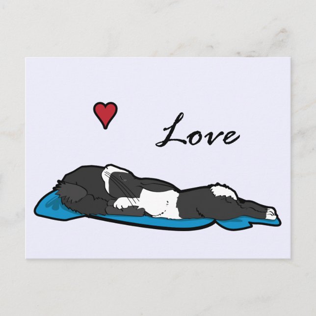 Postal Sleeping Bunneh (Anverso)