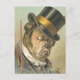 Postal "Sleeping Dog" Vintage Illustration