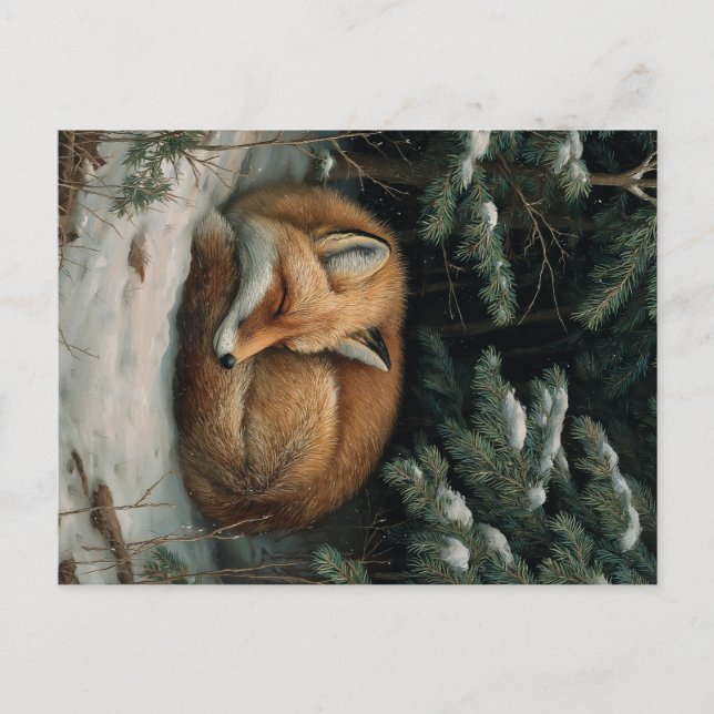 Postal Sleeping Fox in Winter Forest (Anverso)