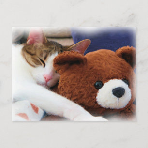 Postal Sleeping Tabby Teddy Bear
