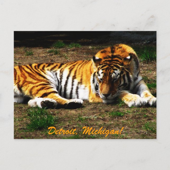 Postal Sleepy (Anverso)