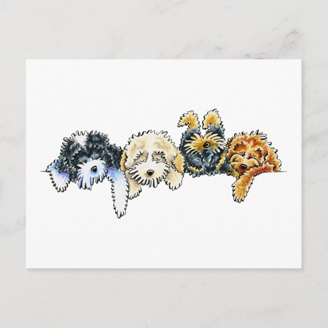 Postal Sleepy Cockapoos (Anverso)
