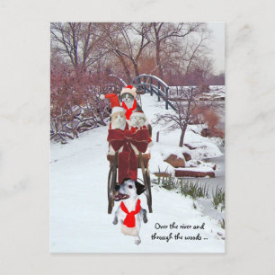 Postal Sleigh Ride de Kitties