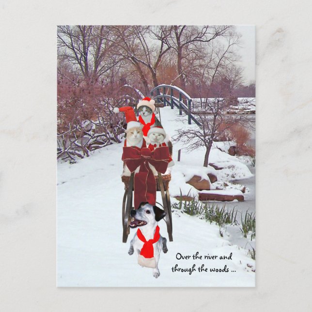 Postal Sleigh Ride de Kitties (Anverso)