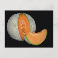 Sliced Cantaloupe Melon