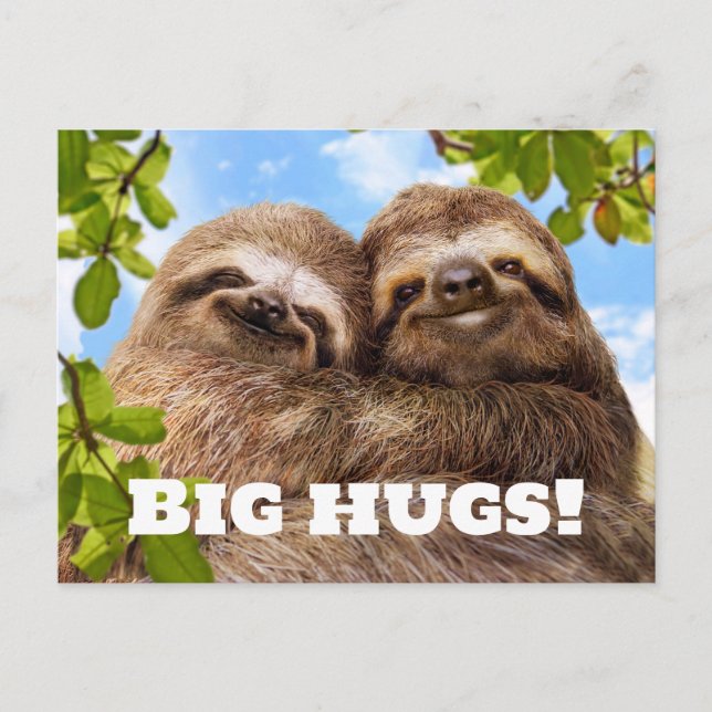 Postal Sloth Couple (Anverso)