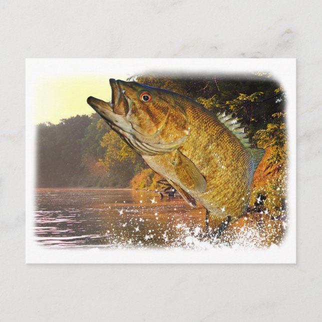 Postal Smallmouth Bass (Anverso)
