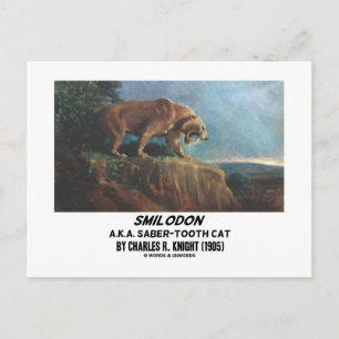 Postal Smilodon Knight (alias Saber-Tooth Cat) (1905)