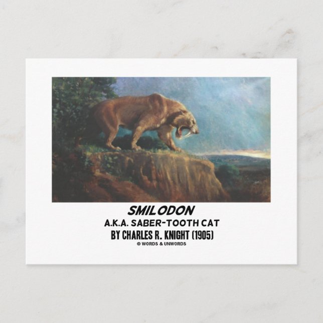 Postal Smilodon Knight (alias Saber-Tooth Cat) (1905) (Anverso)