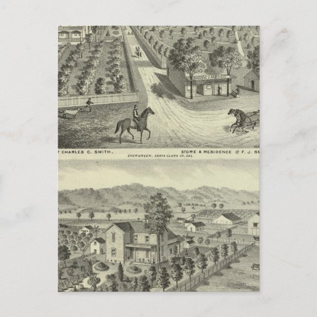 Postal Smith, residencias de Herman, tienda (Anverso)