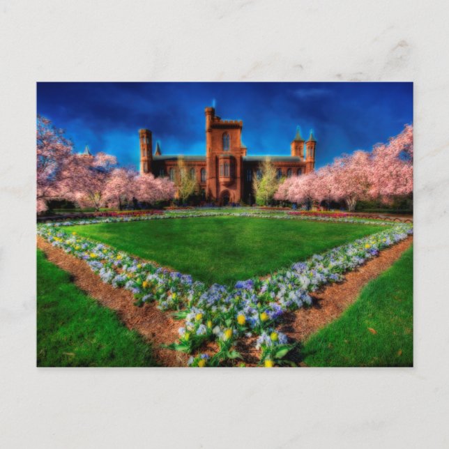 Postal Smithsonian Castle Garden Cherry Blossoms (Anverso)