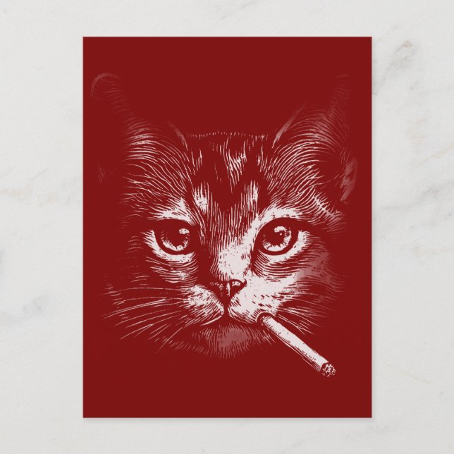 Postal Smoking Cat Funny  (Anverso)