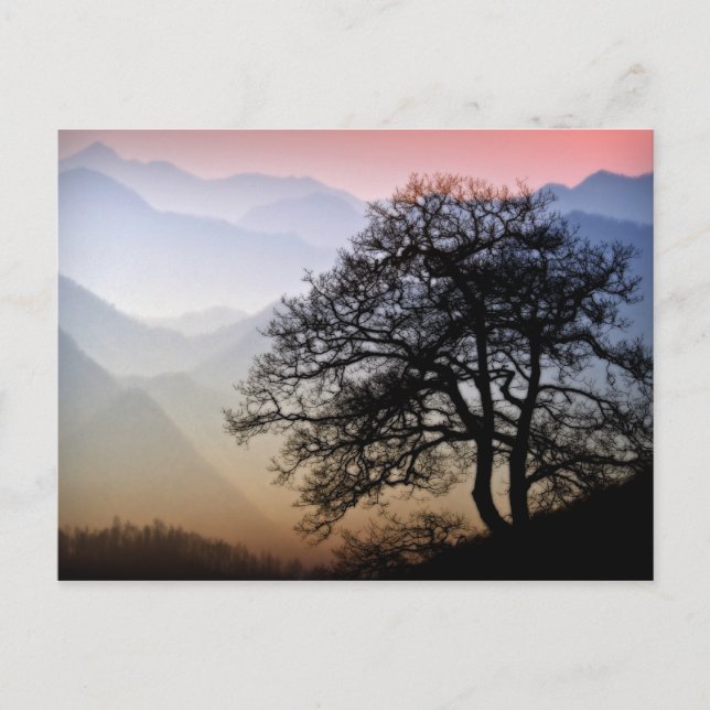 Postal Smoky Mountain Sunset Blue Ridge Parkway Foto (Anverso)