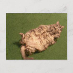 Postal Smoochie Chica Daily Kitty Yoga