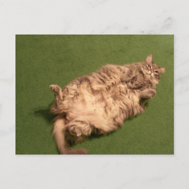 Postal Smoochie Chica Daily Kitty Yoga (Anverso)