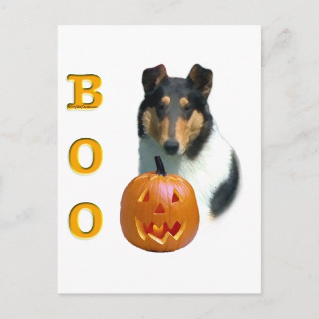 Postal Smooth Collie Boo (Anverso)