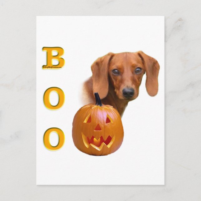 Postal Smooth Dachshund Boo (Anverso)