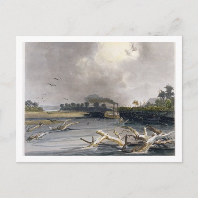 Postal Snags (árboles hundidos) en la Missouri, plato 6 d (Anverso)