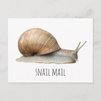 Postal snail mail