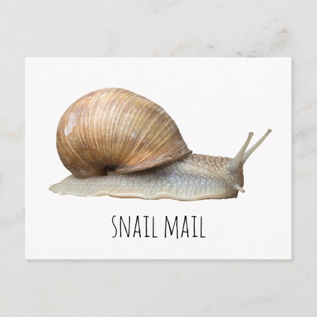 Postal snail mail (Anverso)