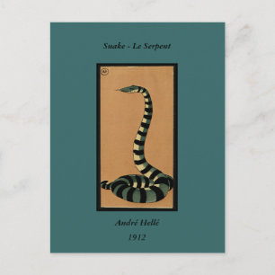 Postal Snake - Ilustracion de libros anticuario y colorid
