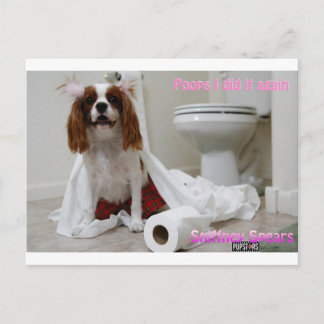 Postal Snifney Spears Postcard