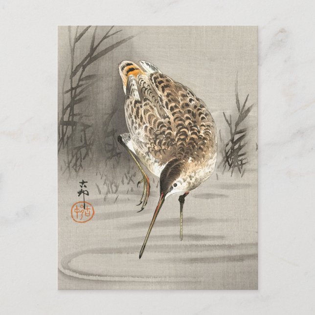 Postal Snipe en el agua, Ohara Koson arte japonés, pájaro (Anverso)