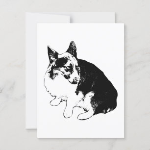 Postal Snlight Hello, Little Fox