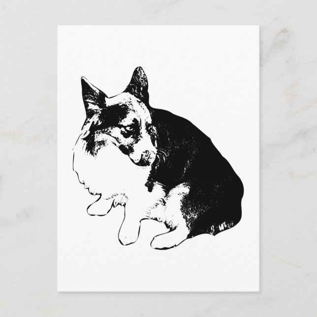 Postal Snlight Hello, Little Fox (Anverso)
