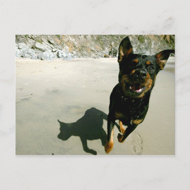 Postal Snoop (Anverso)