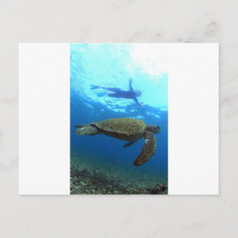 Postal Snorkeling con las islas Galápagos