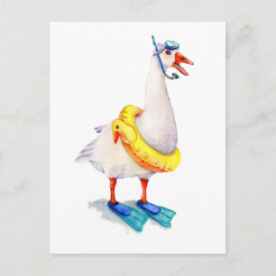 Postal Snorkeling White Goose