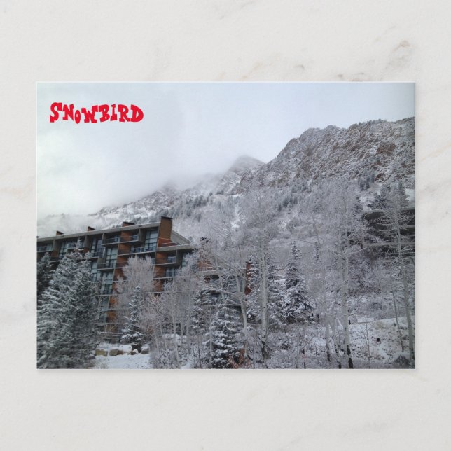 Postal Snowbird (Anverso)