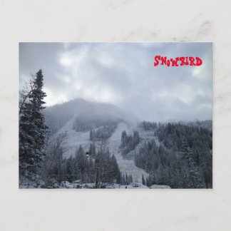 Postal Snowbird