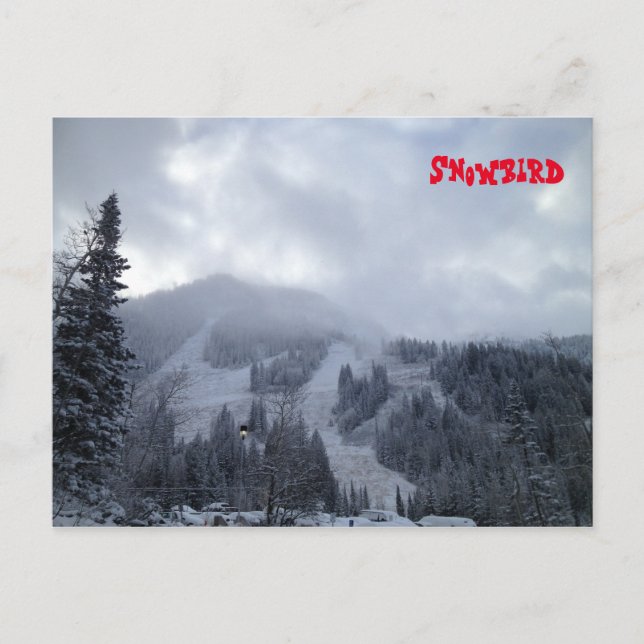 Postal Snowbird (Anverso)