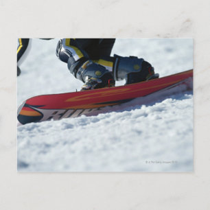 Postal Snowboard 4