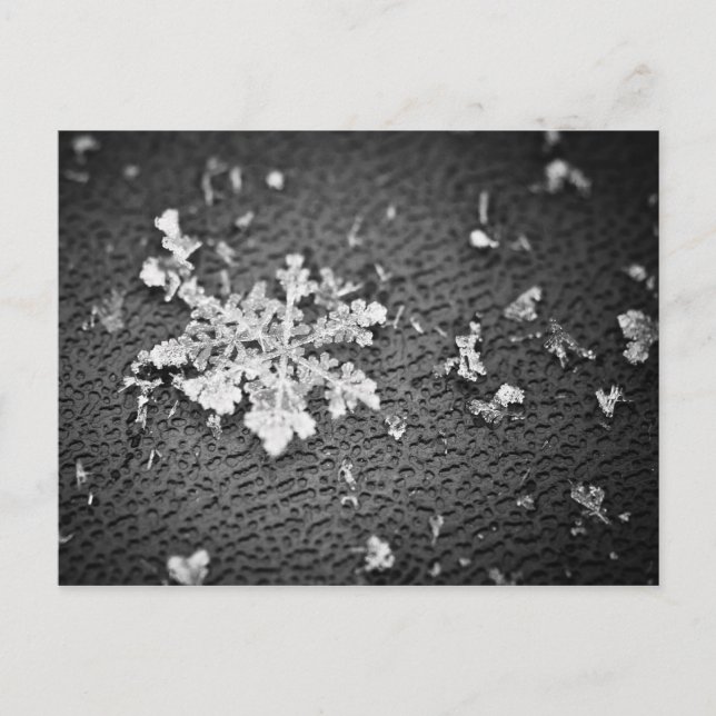 Postal Snowflake (Anverso)