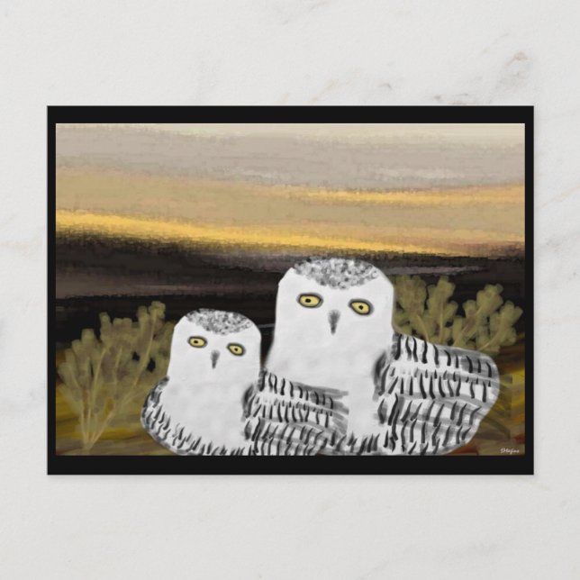 Postal Snowley Owl Sunrise (Anverso)