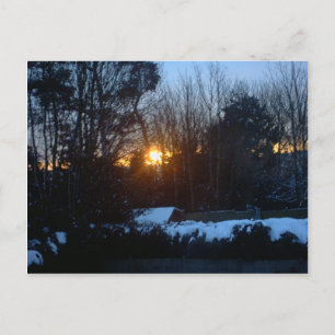 Postal Snowley Sunrise