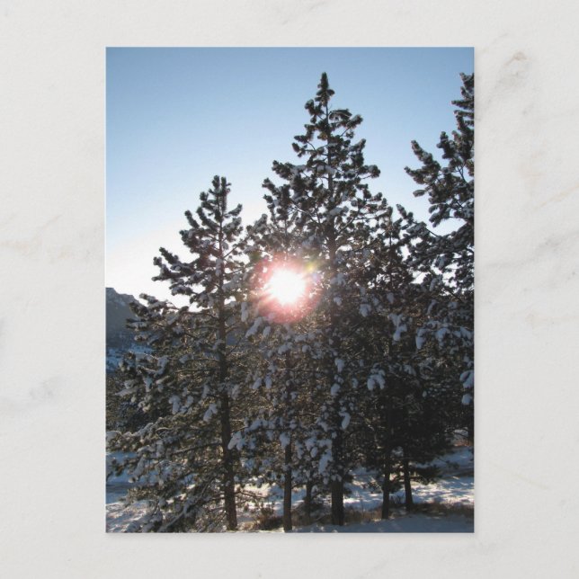 Postal Snowley Sunrise en Colorado (Anverso)